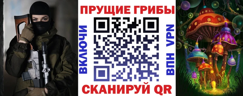 Купить  Саянск  Галлюциногенные грибы MAGIC MUSHROOMS 